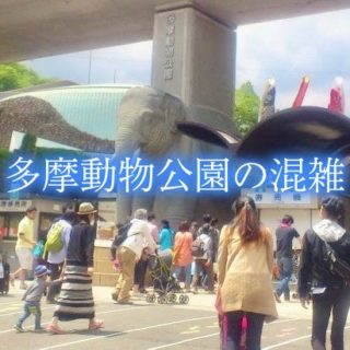 多摩動物公園　混雑